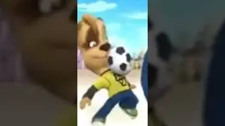 шито-крыто