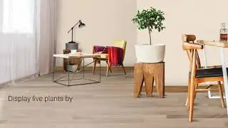 How To | Nature Inspired Home Decor