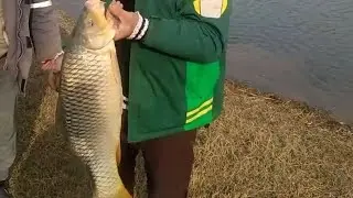 Рыбалка на поплавок 2024       😉не забудьте подписаться😉|Float fishing|बड़ी मछली पकड़ना_钓鱼,别忘了订阅
