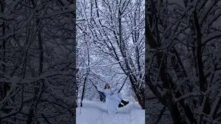 #снегопад