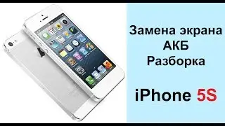 Разборка и сборка iPhone 5S, замена аккумулятора, дисплея, кнопки Home на iPhone 5 S | iExpert