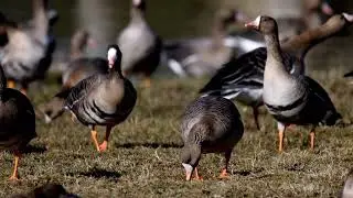 Begegnungen in der Natur