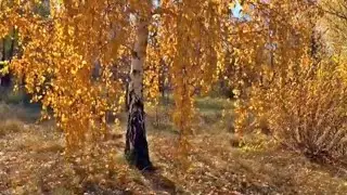 Валентина Толкунова, Лев Лещенко - Осень