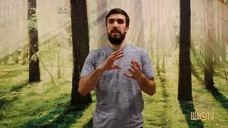 игры для семьи