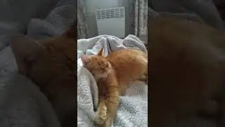 А ведь это могла быть ты