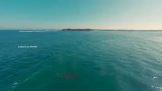 Melihat Pantai Mertasari Surut | Ternyata Ada panti di lepas pantainya