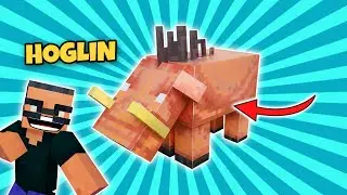 UNIK! FAKTA HOGLIN DI MINECRAFT | TUTORIAL MINECRAFT INDONESIA