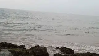 View of the Ocean