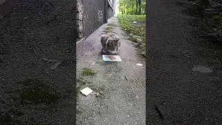Кузяка второй.