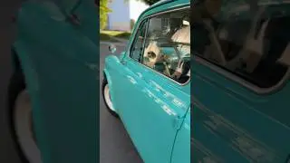 Новый заз 965.