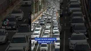 Каждый год на всех дорогах Южной Кореи #추석 #чусок #автовкорее #жизньвкорее #happytyan #ЮжнаяКорея