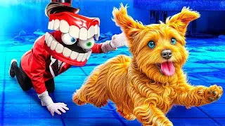 My Dog is Missing! Save the Animals from the Circus!