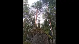 №13 Очистка сознания