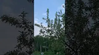 РАдио пробуждение )