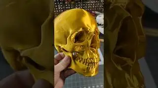Insane Detail!! 3D Printed Human Skull!!