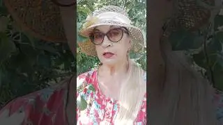 Как не навлечь на себя беду...