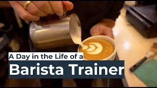 What Does a Barista Trainer Do? Full day of Coffee Training