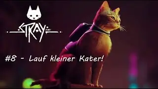 Stray | Part 8 - Lauf kleiner Kater!