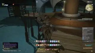 Final Fantasy XIV / Casual Play