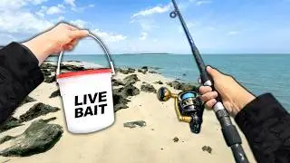 2 Days Fishing from Shore in Florida for Whatever Bites..