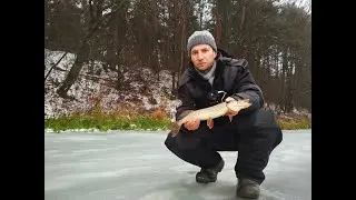 Рыбалка во Владимире на реке Нерль