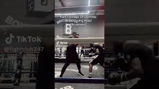 Deontay Wilder back in training