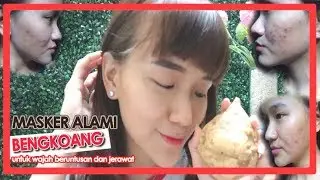 TIPS AMPUH MENGHILANGKAN JERAWAT DAN BERUNTUSAN (MASKER ALAMI BENGKOANG)