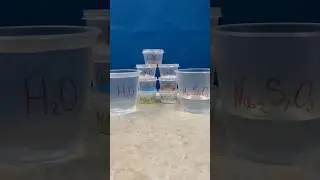 Как вам сад?🤓