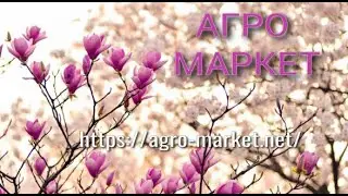 Агро маркет отзыв
