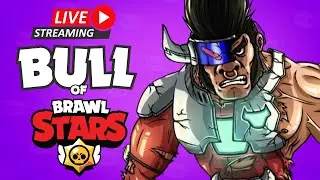 Let's Bull Tonight! LIVE!