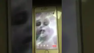 #stesha