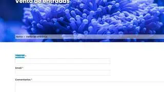 Añadir contenido a una página de Wordpress mediante CSS ( ::after )