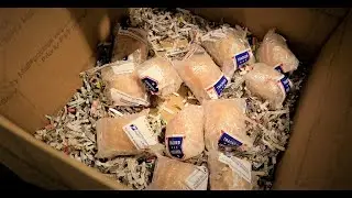 Homestead How To: Unboxing Hatching Eggs