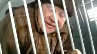 Бабка разпрягает ментов