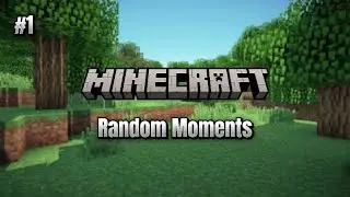 Random Moments of Minecraft..!!!