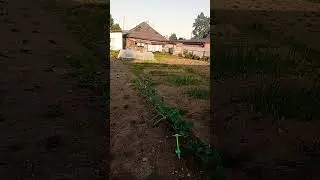 Вечереет