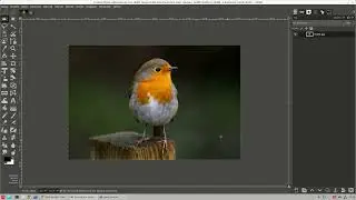 Gimp Eğitimleri - 31 (Resim Ölçekleme)