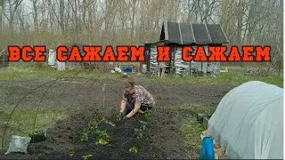 КОНЦА И КРАЯ РАБОТЫ В МАЕ НЕ ВИДАТЬ// выгодно ли иметь трактор...