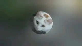 Песня 