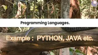 What is a Programming Language ? | #PythonBasics Brush Up Card #1 | #Python 🐍