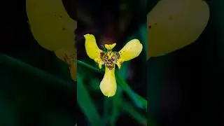Creative Photography Part 3 