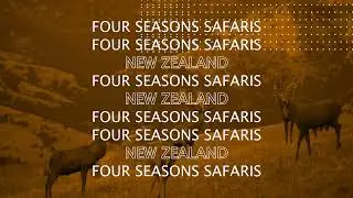 This is New Zealand - Guided by Four Seasons Safaris