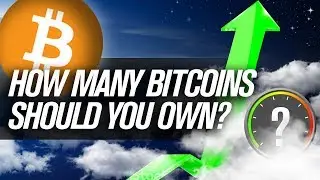 How Many Bitcoin Should You Be HODLING??