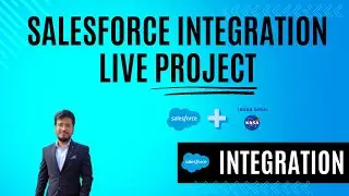 Salesforce Integration | Live Project with NASA Open API