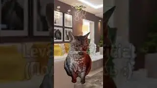 Детектор лжи😱