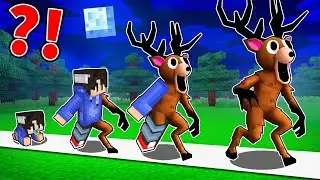 Birth to Deer 99 nights forest in Minecraft