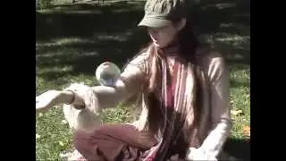 Viollca Contact Juggling