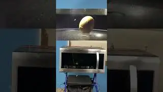 Can you microwave an egg??