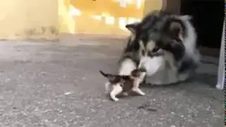 Чё ты лёг! Дай пройти!