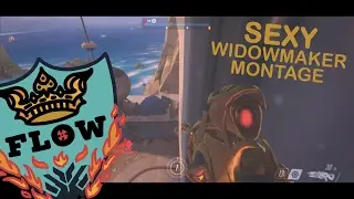 Sexy Widowmaker Overwatch Highlights from Flow